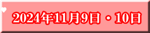 2024年11月9日・10日